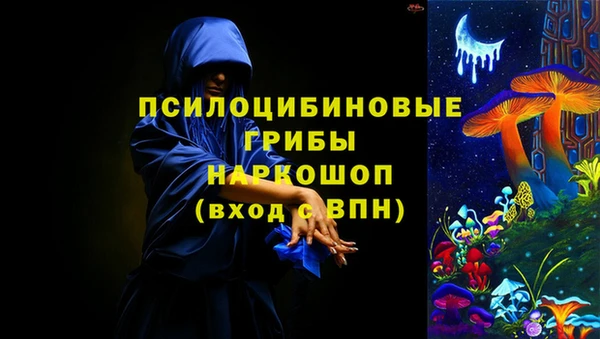 ПСИЛОЦИБИНОВЫЕ ГРИБЫ Алексин